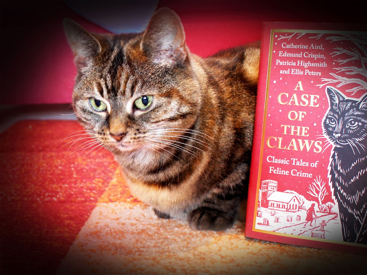 ArmchairSleuth's tweet image. A Case of the Claws: Classic Tales of Feline Crime (2025) by Catherine Aird, Edmund Crispin, Patricia Highsmith &amp;amp; Ellis Peters crossexaminingcrime.com/2025/11/22/a-c… 
#bookblogger #CrimeFiction #BookReview