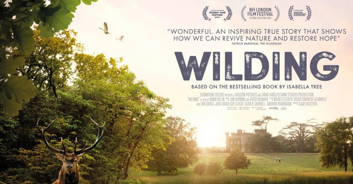 🌱 What happens when you let nature take control? Discover the inspiring true story of rewilding in Wilding.
📅 Mon 24 Nov | 8pm | The Harlington
🎟 £7 on the door
👉 Book now: [link]
#FleetFilm #Wilding #NatureReclaims