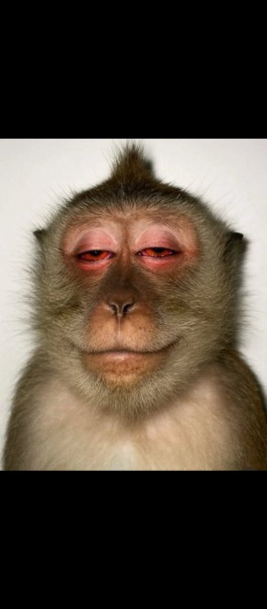 _papikhaveli's tweet image. Hii ploti nahama sasa hawa nawaambia wasiwashe ingine hawaskii,naona ata washachomoa rizzler wafunge ya tatu