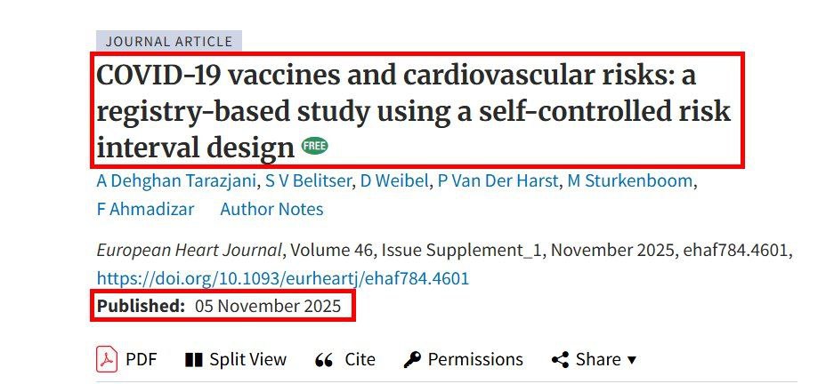 Telmo Silva tweet media