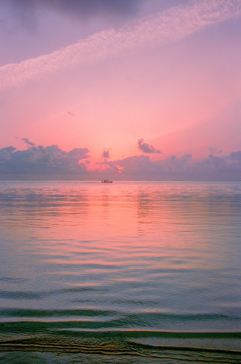AlexKittoe's tweet image. First light in Zanzibar 🎞️