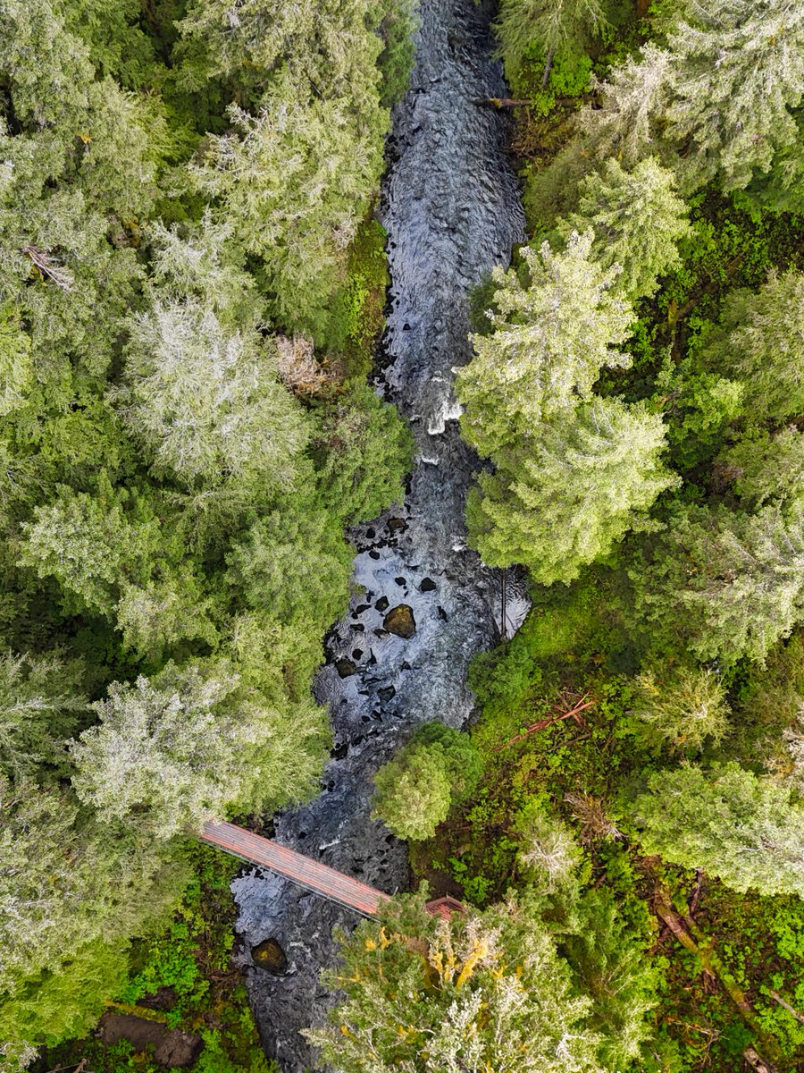 Every day in Alaska looks a little different, but it’s always full of wonder.

Explore our Blue Friday savings with up to $250 off, up to 50% savings, and free 3rd &amp; 4th guests on select sailings. spr.ly/60107Yfoo