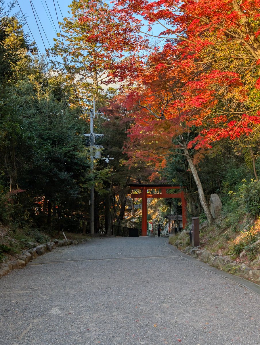 Водил сегодня друзей по Киото.