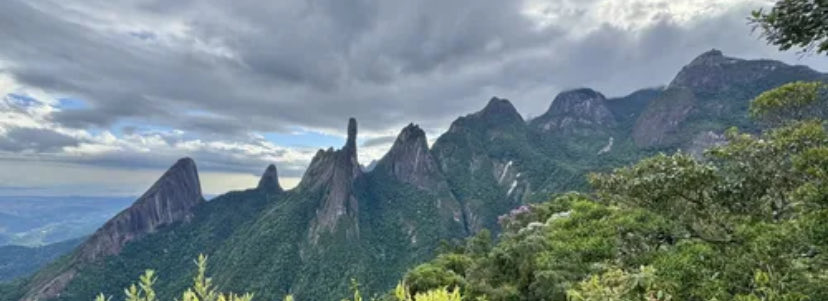 phiinstituto's tweet image. #filosofia um #triceratope consegue ver 3 chifres depois ele tem um colar pelo aspecto da estrutura deve ter vivido muito velinho quando seu #mundo acabou sem dúvida por cataclismo devastador separou continentes e criou cordilheiras e o grande planalto brasileiro com a muralha.