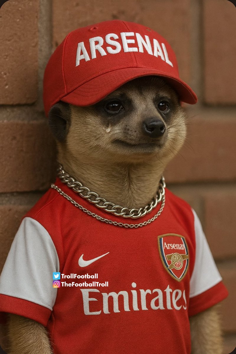 TrollFootball's tweet image. Arsenal watching Bayern Munich concede two from corners in 17 mins… then realising Gabriel is injured.