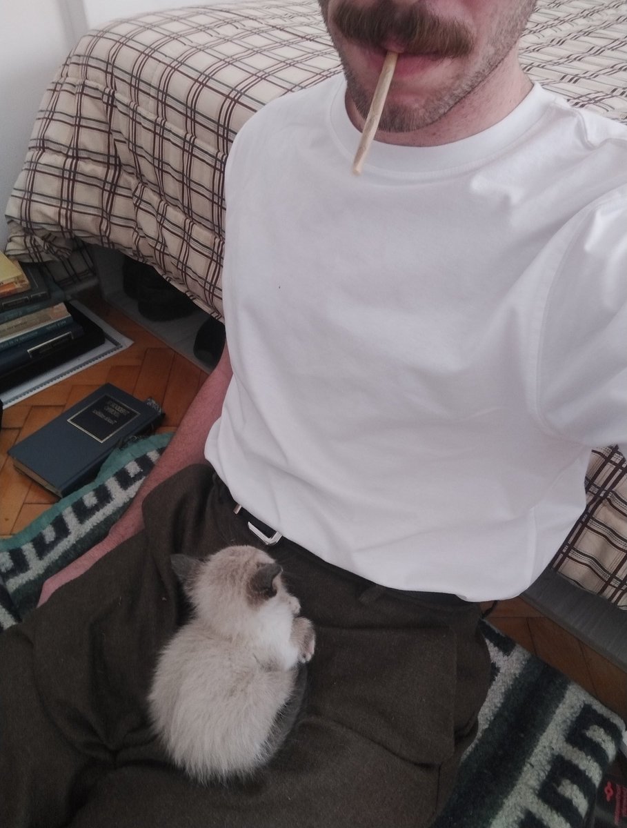 prunuspersica__'s tweet image. estaré insoportable por un tiempo pero miren lo que es esta criatura por favor mato y muero por rogelio