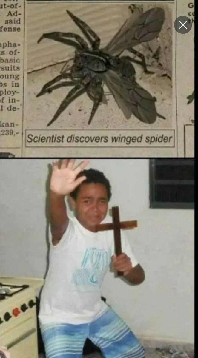 Gabukinmo4's tweet image. WHAT THE F-