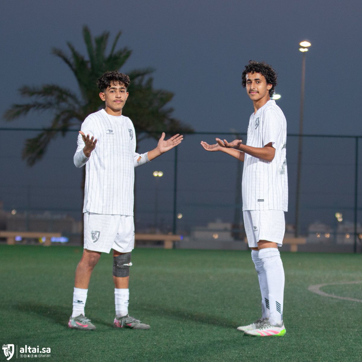فئات الطائي السنية tweet media