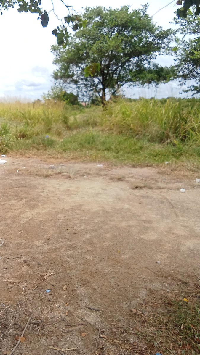 #ใครว่างตอนนี้นัดเอ้าดอกัน เงี่ย💦
ทักมาเลย เเหลมฉบัง