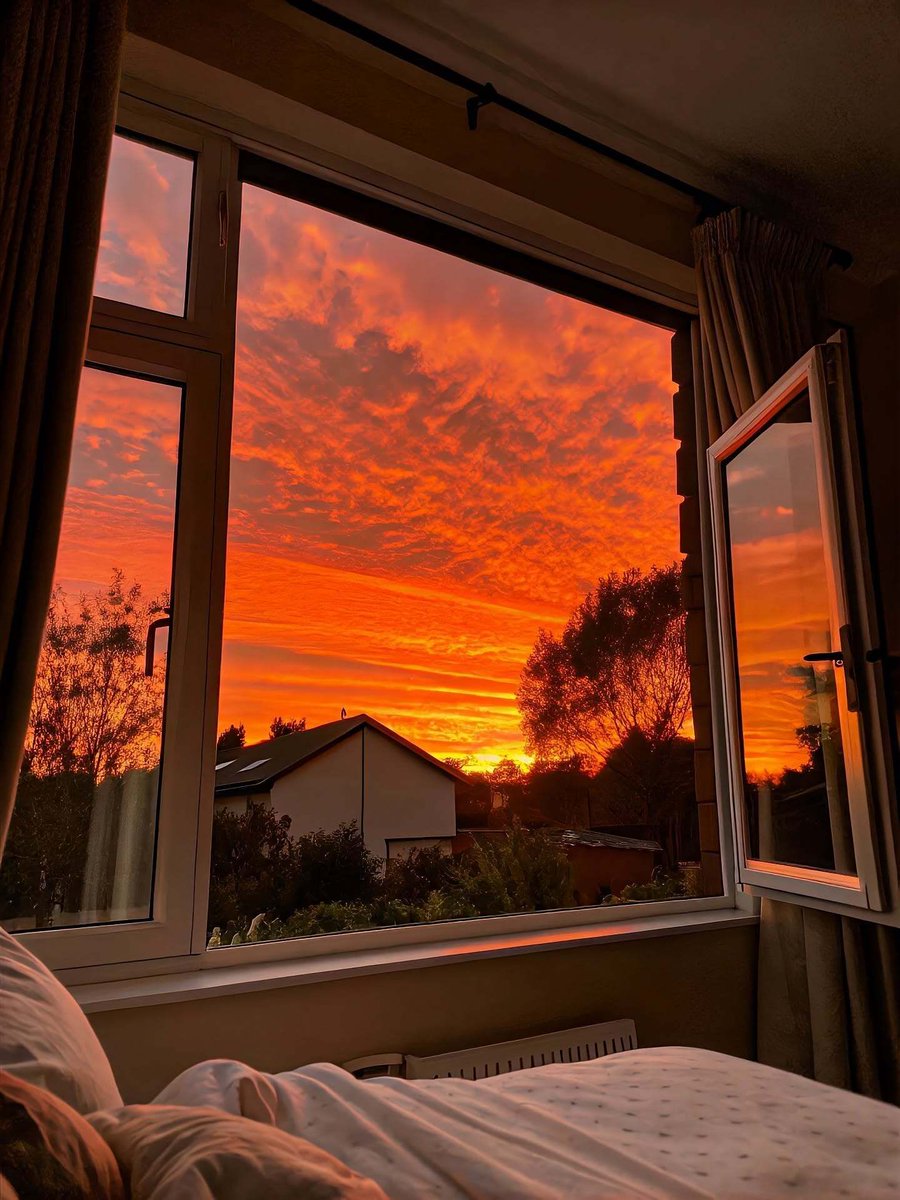 aestheticspost_'s tweet image. 