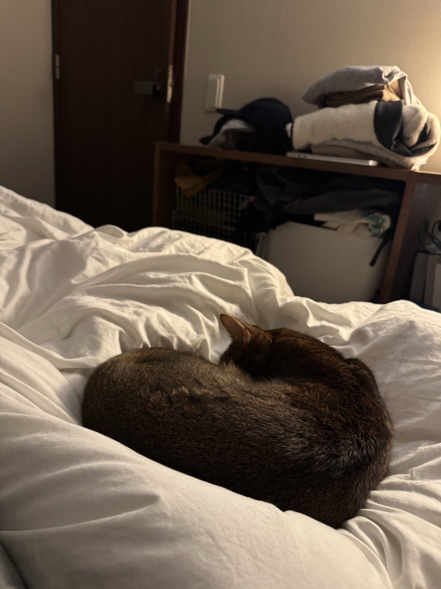 今夜はなんだかハート型なとらきち🫶