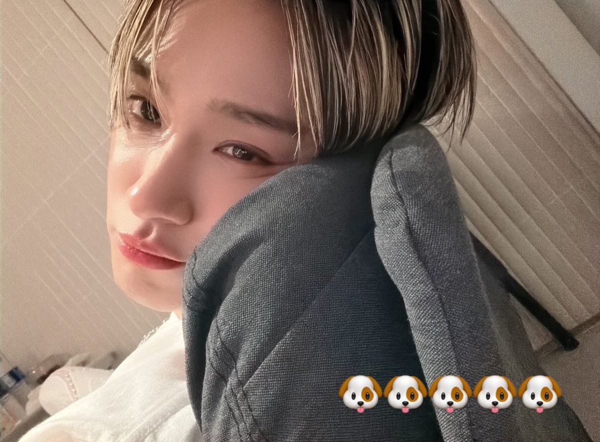 나 솔직히 이 사진 너무 마음에 듦 저 강쥐까지 앙♡