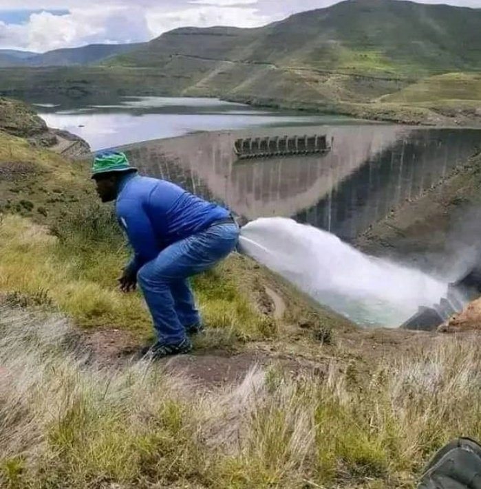 Tamale (@256rootyherman) on Twitter photo 