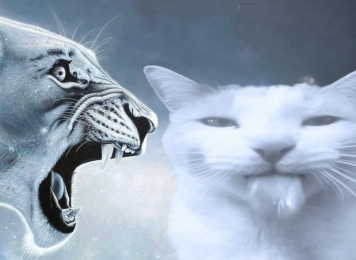 Clovmoon's tweet image. Peleas en Twitter son como: