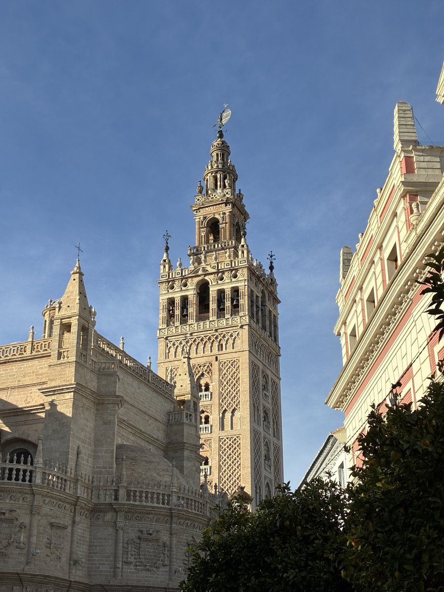 JCarrillofoto's tweet image. El sol de noviembre.