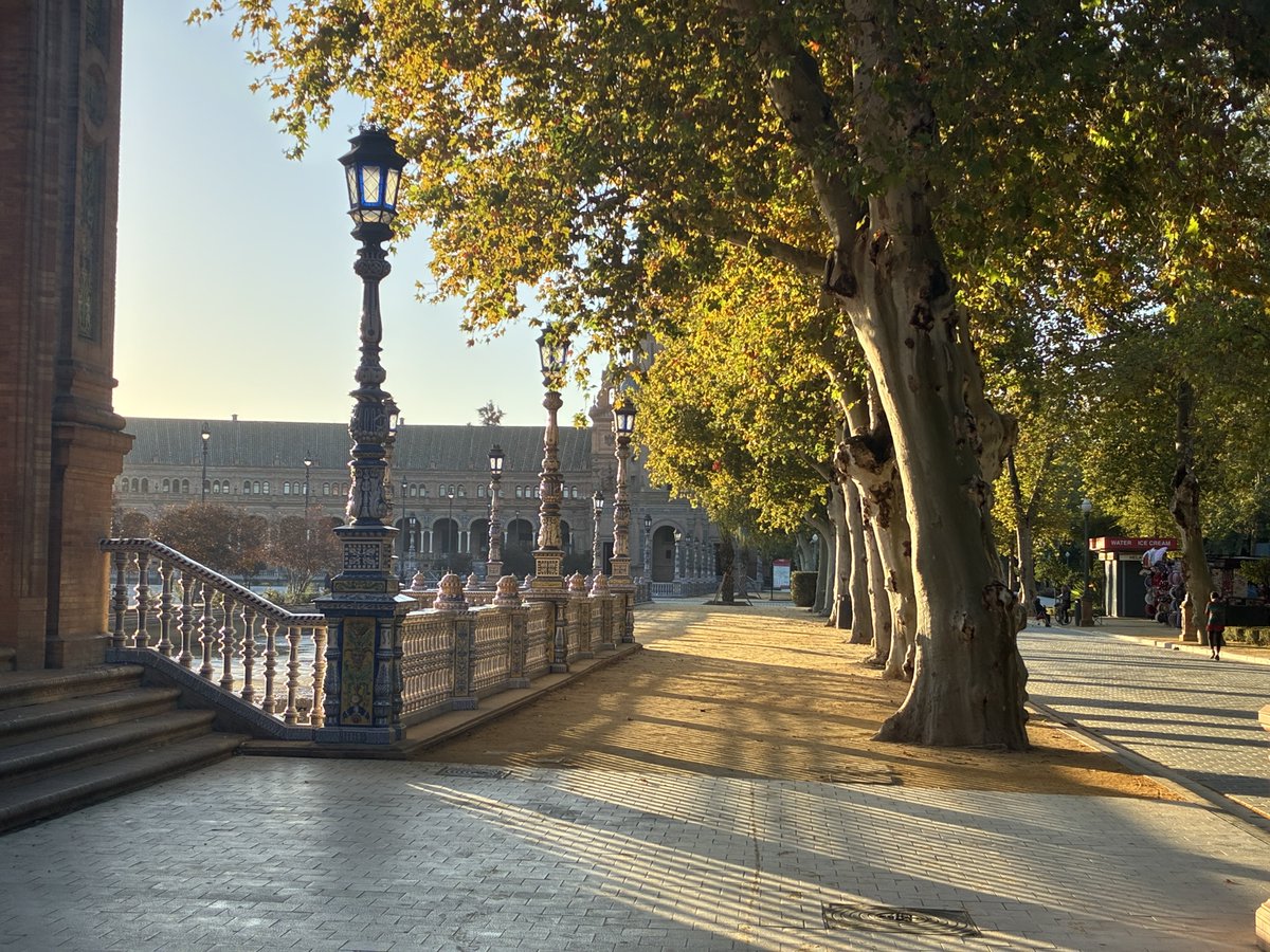 JCarrillofoto's tweet image. El sol de noviembre.