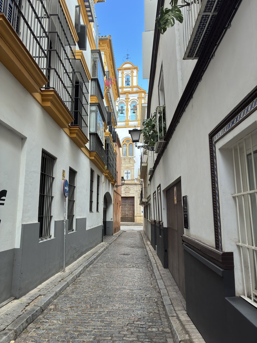 JCarrillofoto's tweet image. El sol de noviembre.