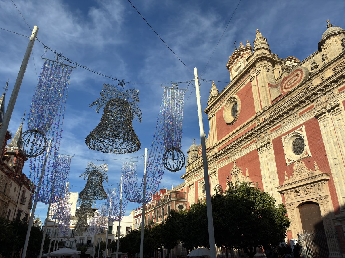 JCarrillofoto's tweet image. El sol de noviembre.