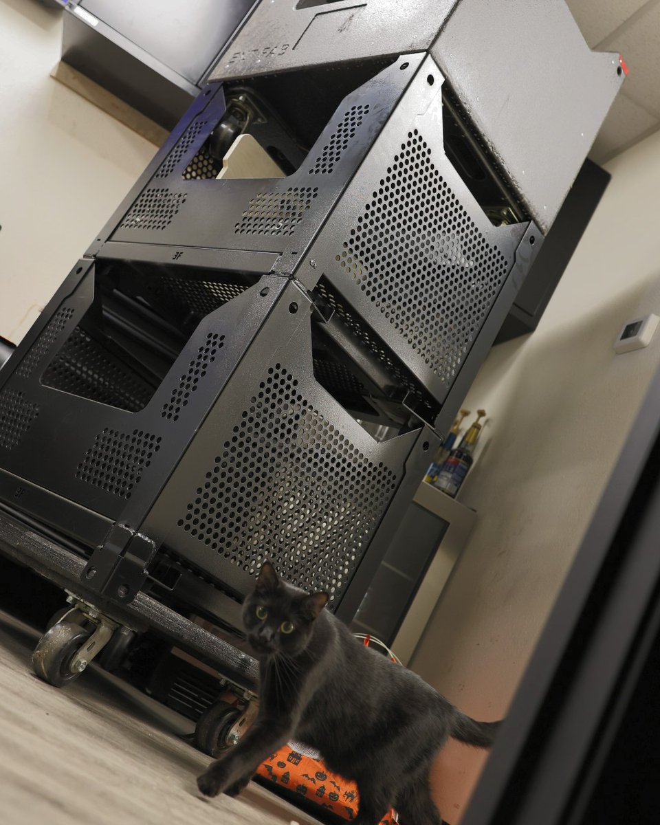 EntFabLLC's tweet photo. A stack of bulk cases is basically a cat tree!! Skillet approves of this use, and hopes they stay in the breakroom for enrichment.
#caturday
#liveevents
#staginggear https://t.co/izU3R8IMxy