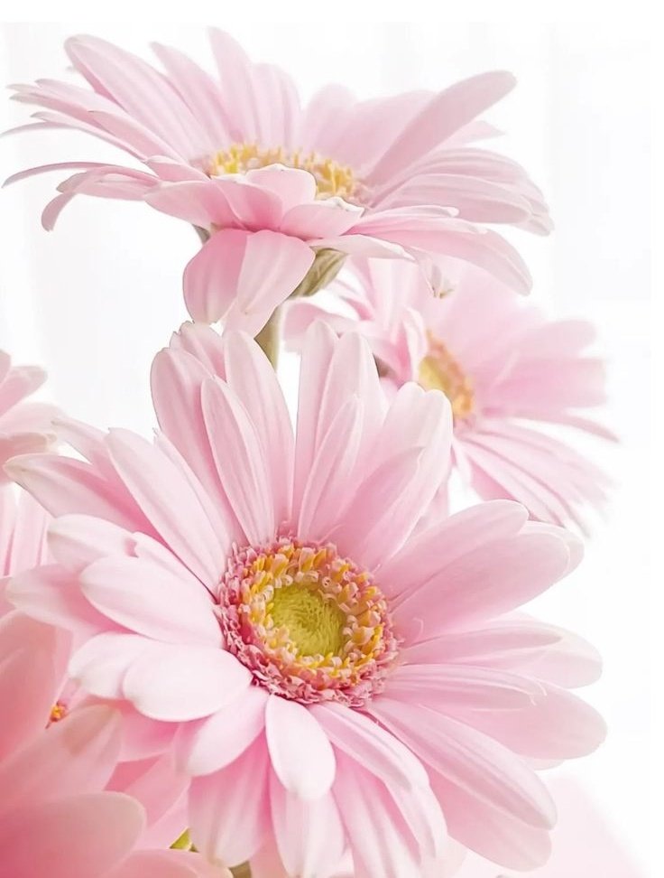 يا هذه الأماكن والمسافات والسنوات والزوايا والخواطر وأنفاس الورود الساكن في صدر الحرف 
اشتقت لك .. ✍🏻🌿🌸♥️