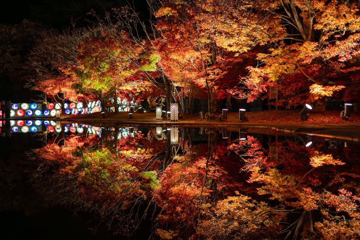 mushiro_nami's tweet image. 初めての松島離宮
今回のライトアップも風がなく穏やかな秋の夜でした

#松島離宮
#日本三景
#REFLECTION