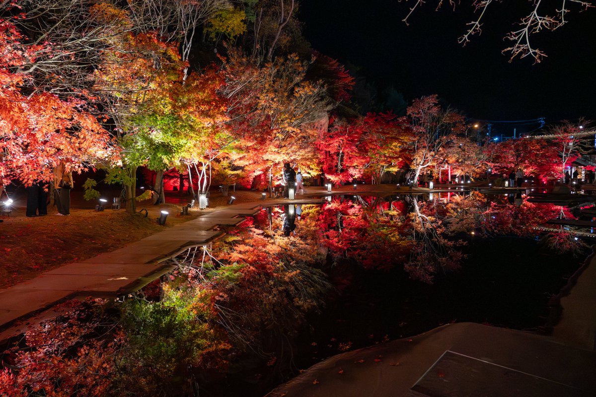 mushiro_nami's tweet image. 初めての松島離宮
今回のライトアップも風がなく穏やかな秋の夜でした

#松島離宮
#日本三景
#REFLECTION