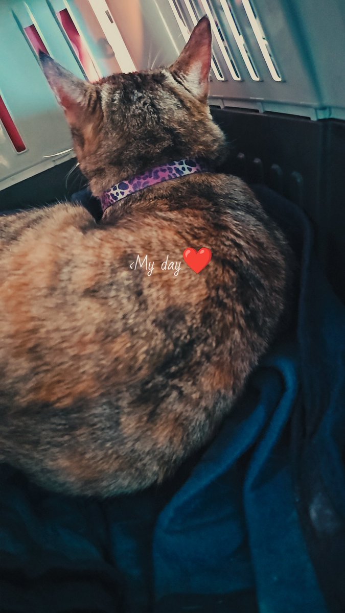 كاندي فين منكونو مسافرين 
انا وياها كتغضب وتعطيني ظهر 🙂🥴