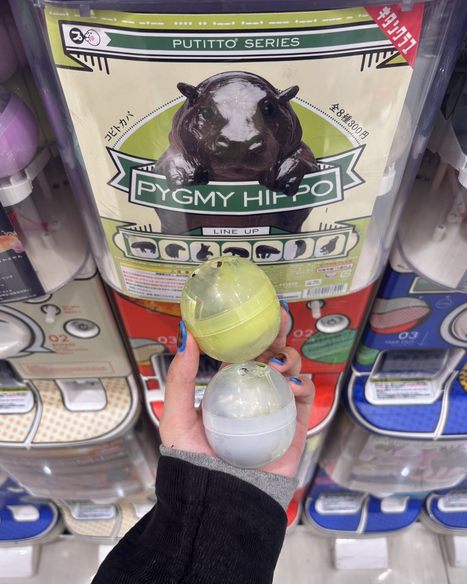 bibitaru_'s tweet photo. コビトカバいた！🦛
次会えたらあげるね
@ohayoumadayarou https://t.co/ccr6O8TU6M