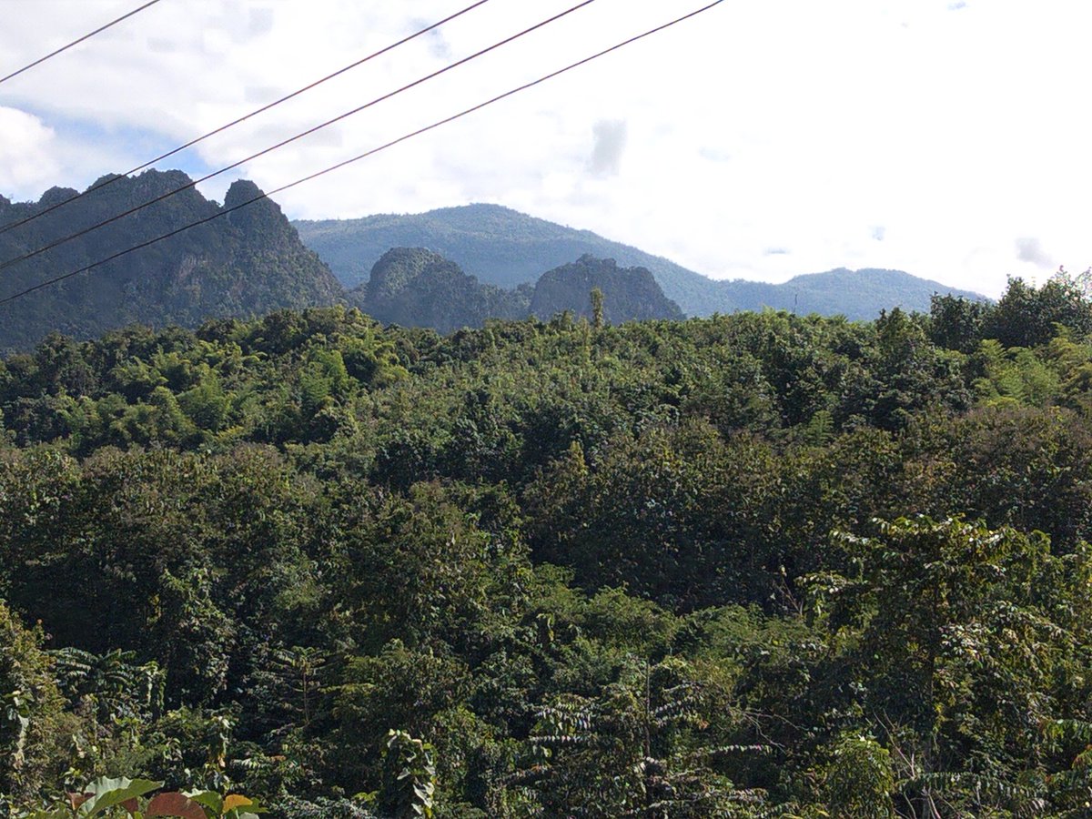 RynoHainser's tweet image. Motorcycle 🏍️ ride #views