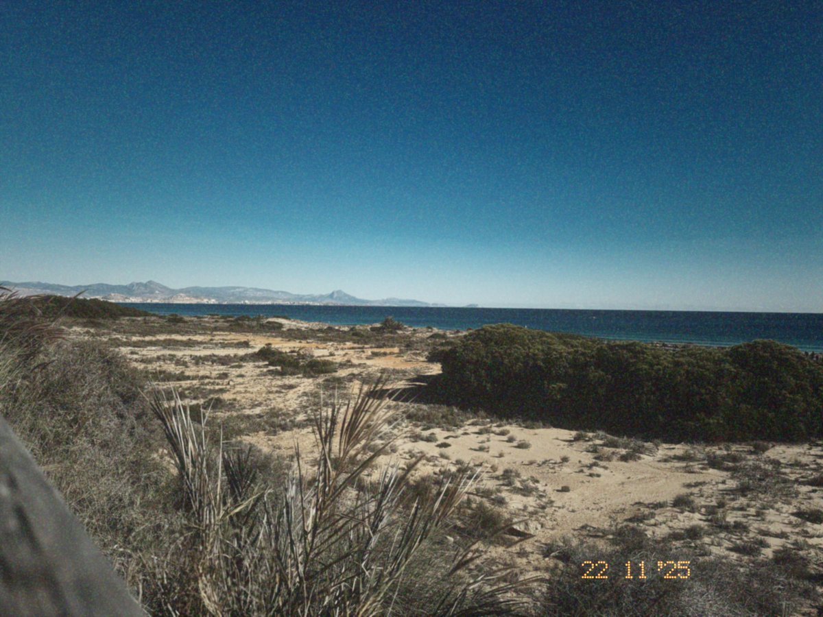 NomadCode96's tweet image. Cuanto menos cargo, más presente estoy 🌊🚐 

#VanLifeSpain #VanLifeLifestyle #NomadLife #DigitalNomadLife #RemoteWorkLife #MinimalismoLifestyle #VidaNomada #TrabajoRemoto #BeachVibes #SpanishCoast #Costablanca #Thanksgiving2025