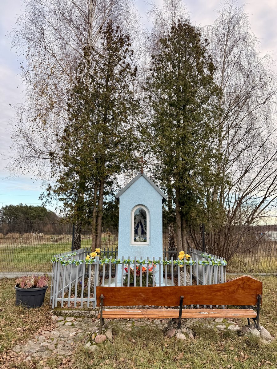 Pięknie było dziś na mazowieckim truchciku. Spokojnie i ze słońcem. W końcu trochę błękitu nieba się trafiło. Zajebista odmiana od codziennej szarówy. Kiedyś bardzo zazdrościłem ludziom wolności, bo sam jej nie miałem. Dziś niczego nie zazdroszczę i mam więcej niż mógłbym chcieć.