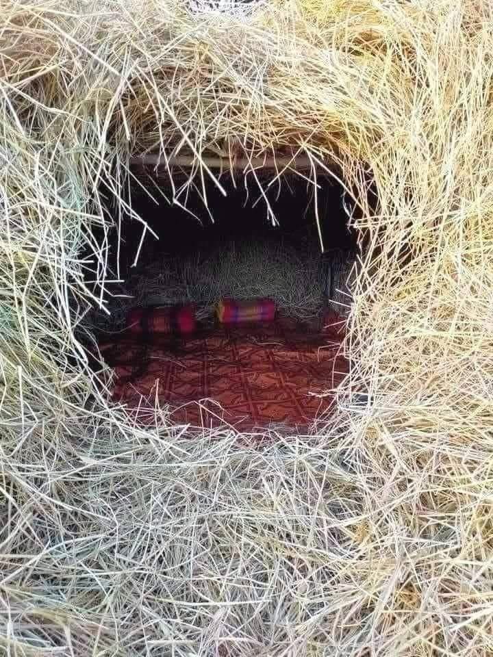 สิ้นฤดูเกี่ยวข้าวก็เข้าฤดูหนาว ทุ่งนาคือสวรรค์เลยก็ว่าได้ ฟางข้าวคือบ้านหลังเล็กๆ ของเด็กยุค 90 สมัยนั้น สร้างเอง..อยู่เอง..มีความสุขเองกับเพื่อนแถวบ้าน นอนสบายแต่ห้ามก่อไฟเด็ดขาด😊😊

#วัยรุ่นยุค90 #ใครทันบ้าง