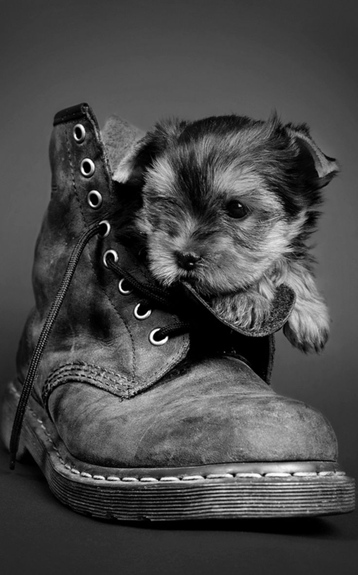 <a href="/MawetB/">Dany Jurecsko.</a> <a href="/AslanovElshan/">Elshan Aslanov</a> <a href="/diversard01/">diver sar</a> <a href="/DjangoCanelle/">Elisabeth Bonnefond🐶🕊️🐰🐝</a> <a href="/kropikova_p/">Petra 🐶🐾💕</a>