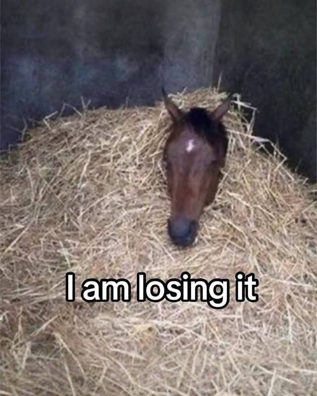 horsetwting's tweet image. 