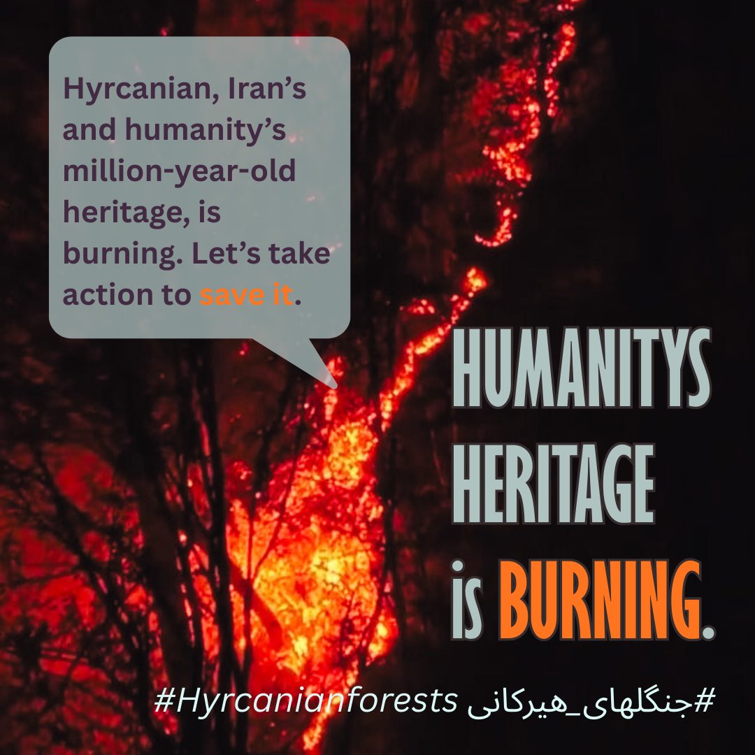 SampaRelations's tweet image. Iran 
The Islamic regime spends all of the Iranian people’s money on terrorists in the region and now doesn’t even have a single helicopter to put out the fire in the Hyrcanian Forests.
#Hyrcanianforests
#جنگلهای_هیرکانی
@IPCC_CH
@UNEP
@IUCN