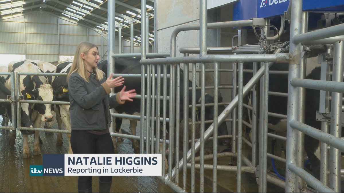 Natalie Higgins 🦉 tweet media