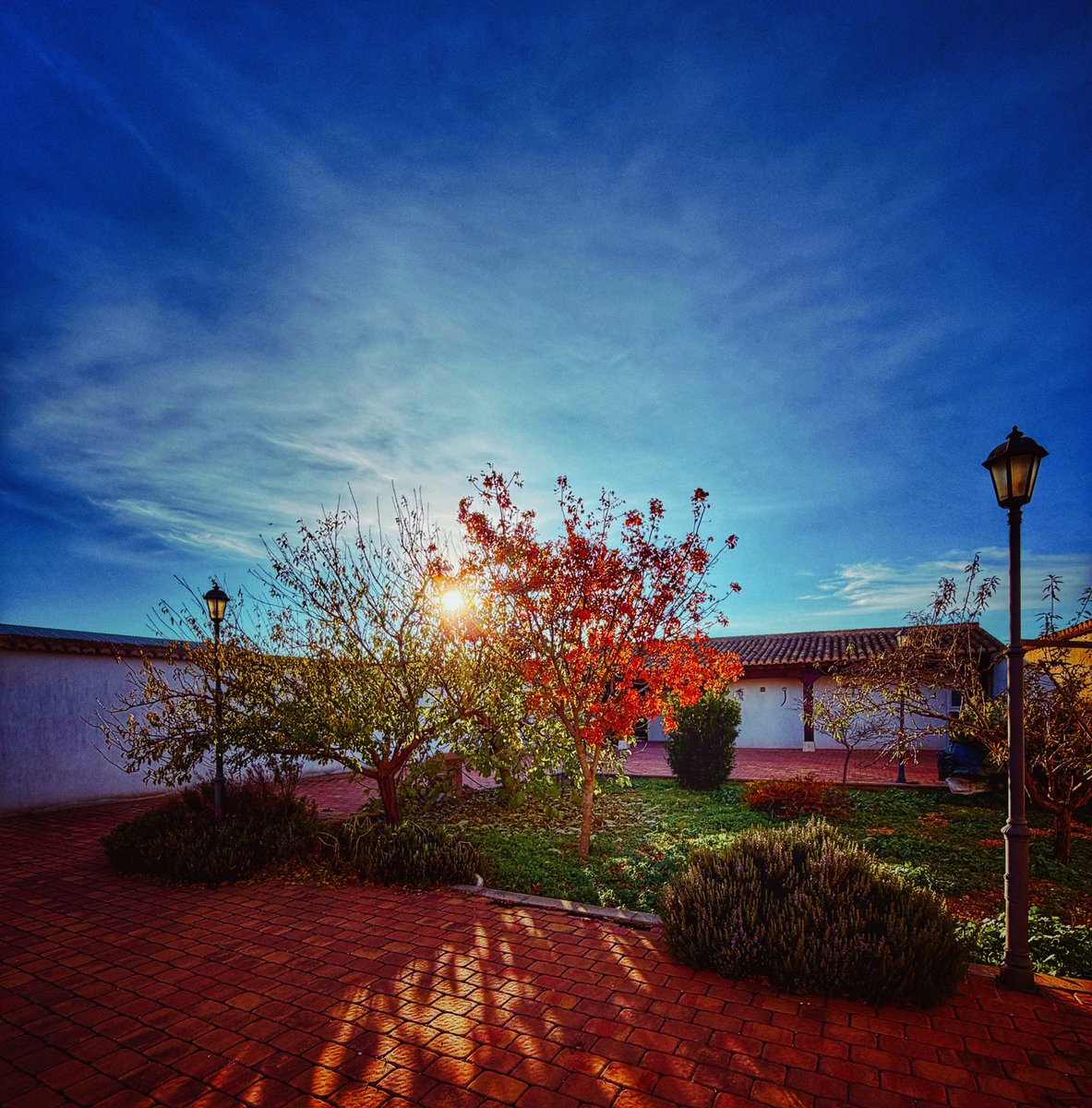 Atardecer. #Otoño en casa. #Minaya💚🌳🐥🦔