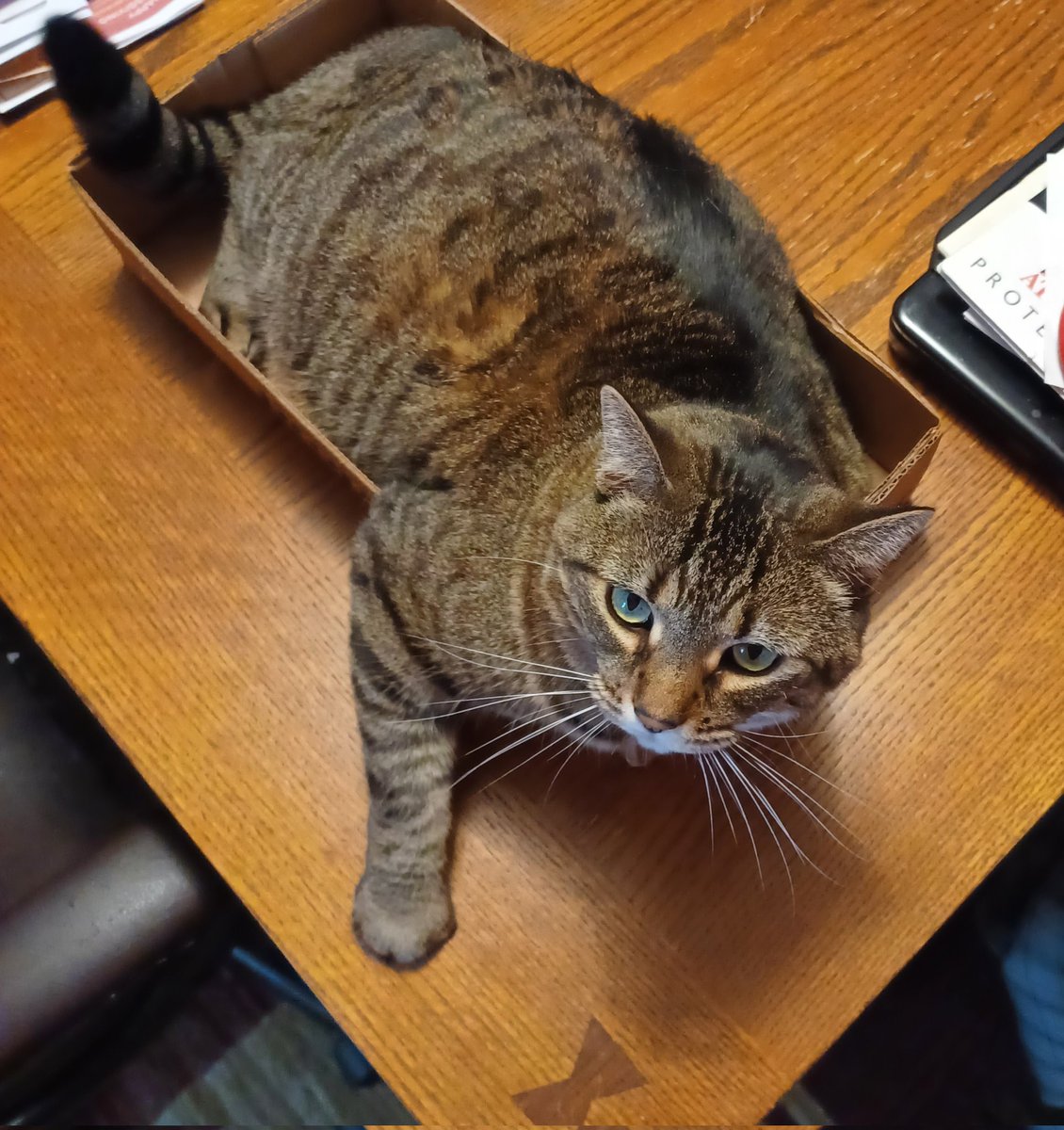 MadplotWriter's tweet image. 