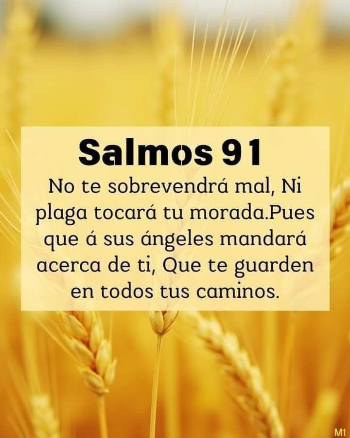 Hija de Dios (@elena70414340) on Twitter photo 