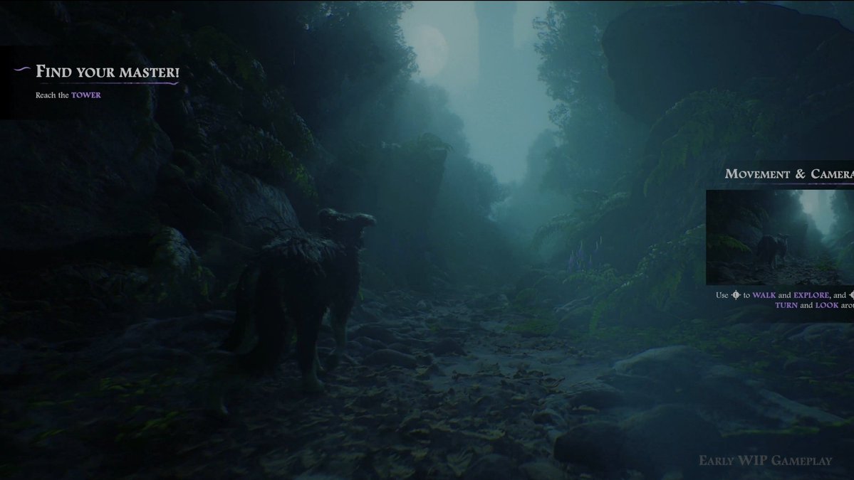 HoundedGame's tweet image. Happy #screenshotsaturday - heres one of Duke starting his journey!