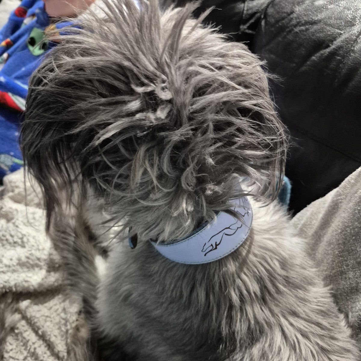 👩🏼‍💻 Ellie Pitchford 🏃🏼‍♀️👨‍👩‍👦 💚 tweet media