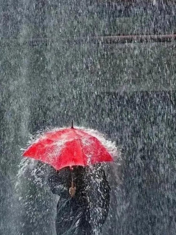 Lexi (@spezialaccount) on Twitter photo 