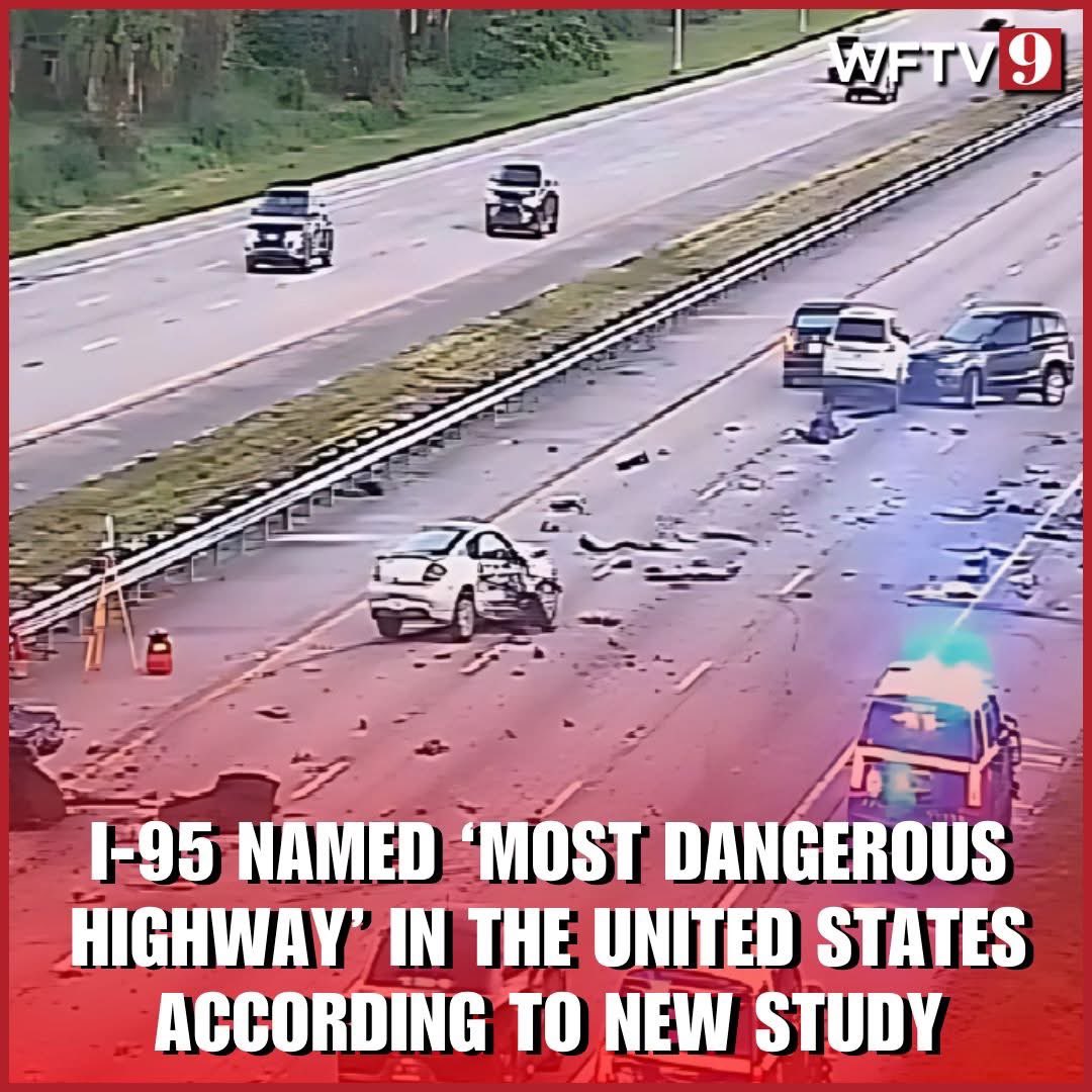 coni_perry's tweet image. Florida is the thunderdome. #I95 #thunderdome #spinthewheel #oakhillcronicles