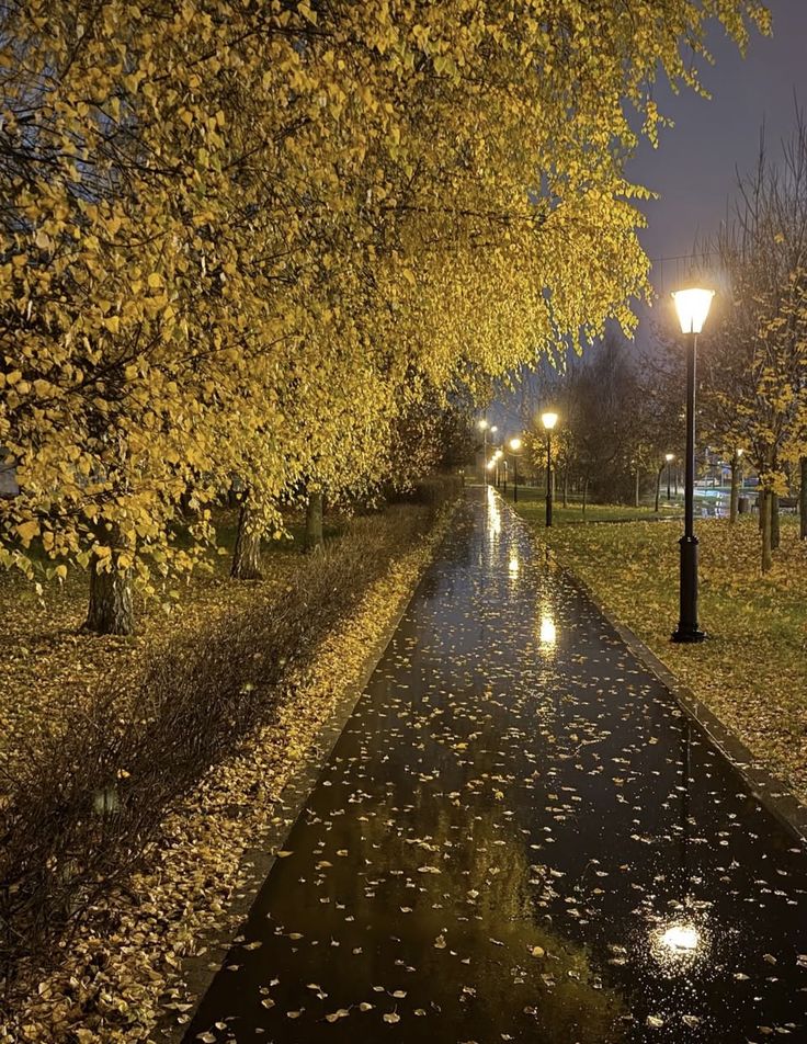 usul usul yürümelik.