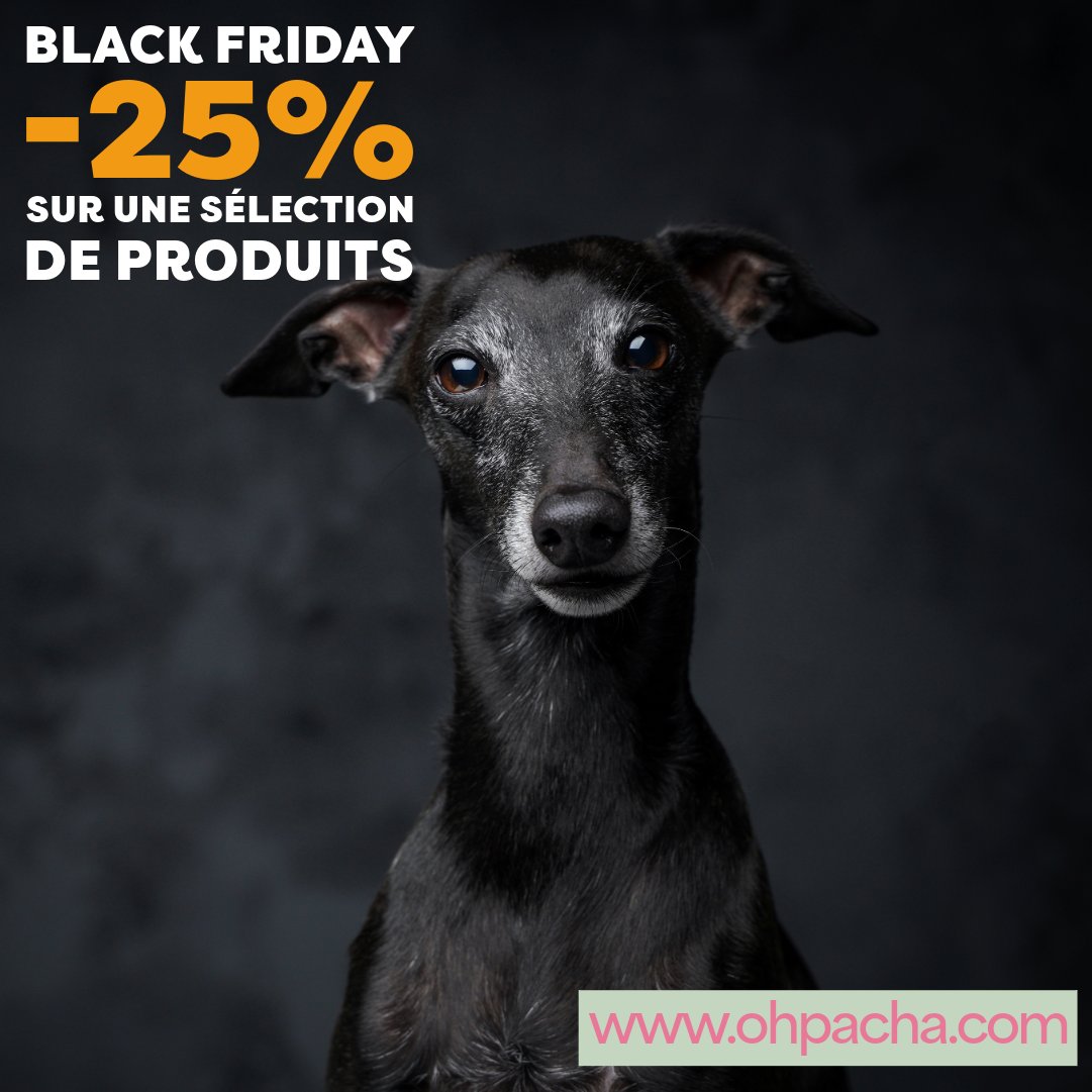 ohpacha's tweet photo. 🎁 Offre Black Friday ❤ 🐶 🐱
25% de remise immédiate sur une sélection de produits pour le Black Friday.
Boutique en ligne française : https://t.co/GwsPH9e2v8
#boutiquepourchien #boutiquepourchat #BlackFriday https://t.co/57i3euJRKL
