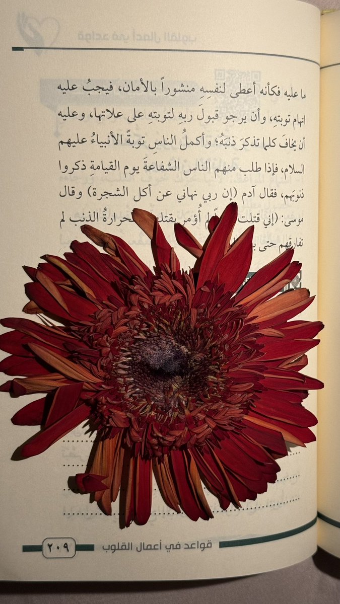 بلا منافسة، هذا أجمل فاصل كتاب❤️❤️❤️