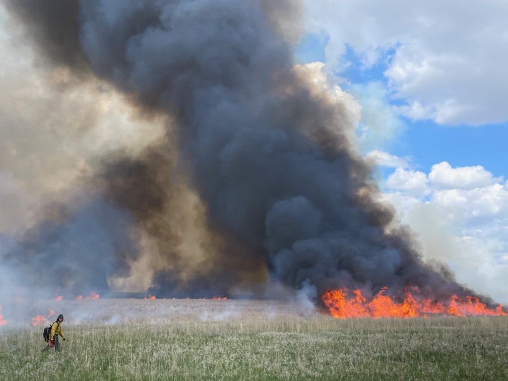 USFWSFire's tweet image. Now #hiring a GW-06 Wildland Firefighter at Sand Lake NWR, SD.

You’ll join a small, sharp team keeping one of the country’s most important migratory bird habitats healthy &amp;amp; resilient.

Apply by 12/4 --&amp;gt; bit.ly/4pn8bFJ

#NotYourOrdinaryJob #FireJob

@USFWSCareers