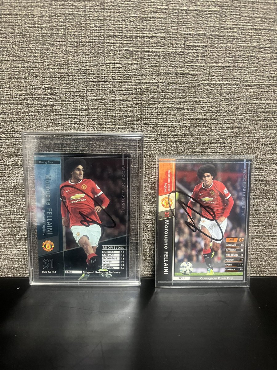 マルアン フェライニ Panini Chronicles 直筆サイン マルアン フェライニ Panini Chronicles 直筆サイン マルアン