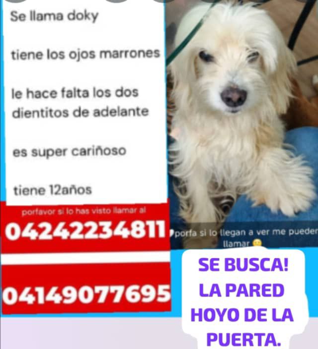 CASO DE TERCEROS PERDIDO  HOYO DE LA PUERTA