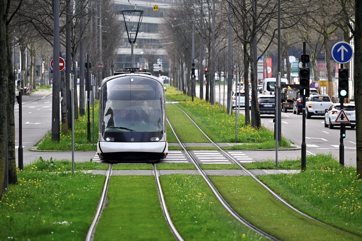 euro_projects's tweet image. 🇫🇷🚊 Strasbourg, France — also known as the Capital of Christmas — has just opened a new tram extension:
➡️ 8 new stations
➡️ 4 km of track
🚧 2 years of construction
💰 €122M total (€30.5M/km)